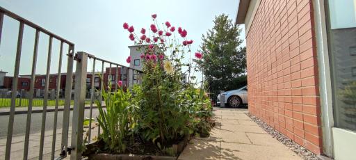 Arena House - Housity