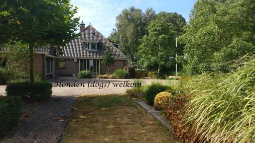 Beach B&B Be Our Guest - Housity