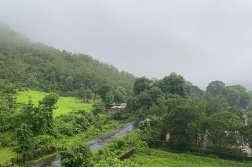CRD Gardenia Mountain & Park View 401 - Housity