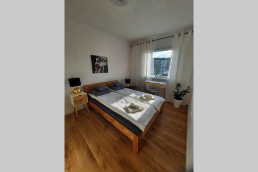 Apartament Mazurek - Housity
