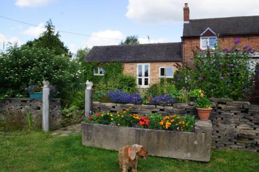 Stag Cottage - Housity