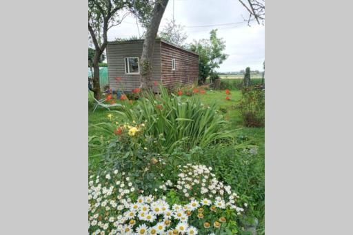 La Pause Nature en Flandre - Housity