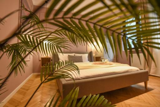 THE ROSE GOLD - Cinema Studio near Radisson - Housity