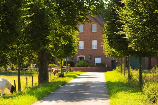 Gut Huthmacherhof - Housity
