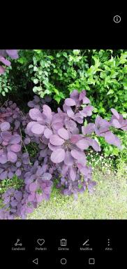 Residenza Liliana - Housity