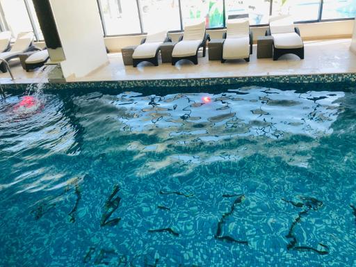 North Spa&Pools AlezziBeach - Housity