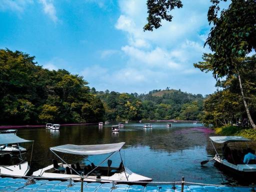 Wayanad Snow Vibes - Housity