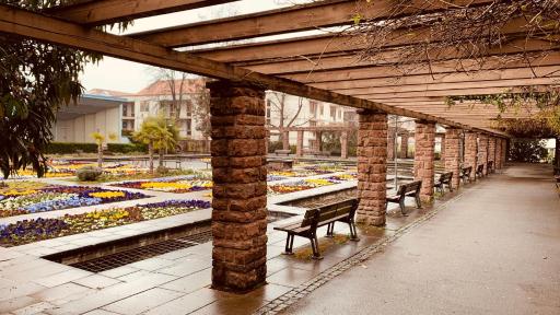Superior-Apartment near Stuttgart Garden & Sauna - Housity