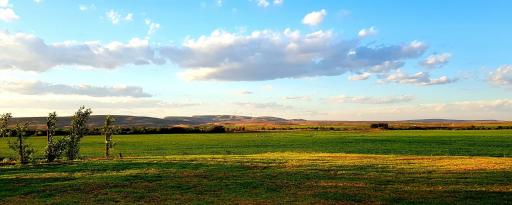 Amelia Guestroom - Housity