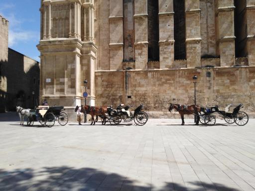 Heart Of Palma - Housity