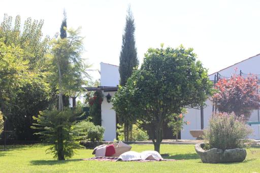 Casa dos meus avós -Villas - Gaia & Porto - Housity