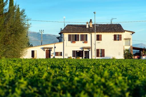 La Casa di Smilla - (Bevagna) - Hizvo