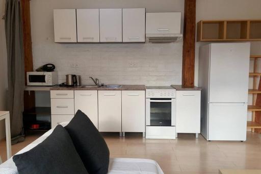 Beautiful, quiet apartment at the heart of Brno - Housity