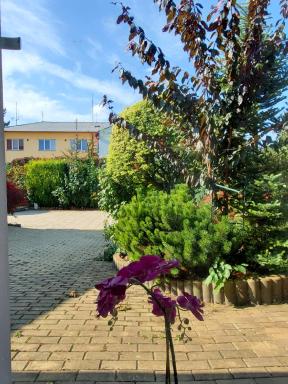 Apartman Starý Liskovec - Housity