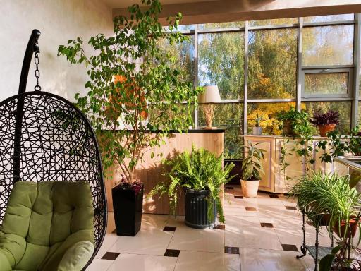 Mojo hotel - Housity