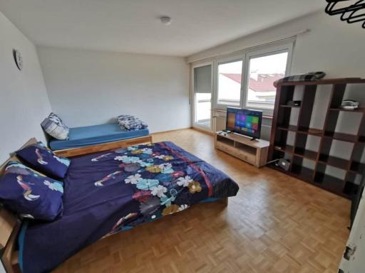 All the apartment in Basel up to 7 people - Housity