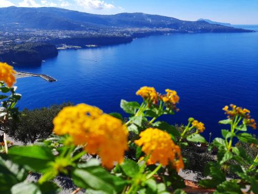Bella Vista House-Sorrento coast - free parking-solarium - Housity
