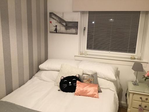Cop26 double rooms in Erskine - Housity