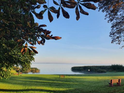 Gesindehaus am Schloss Kummerower See - Housity