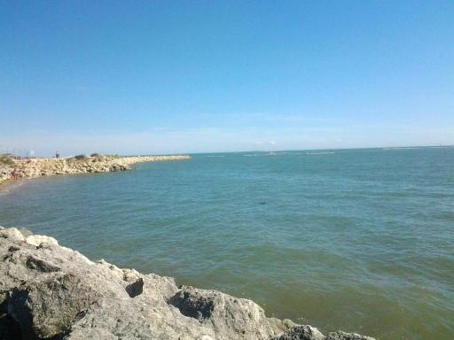 Maison charmante aux Mathes avec jardin cloture - Housity