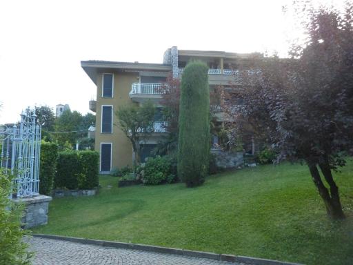 Hermitage mimosa - Housity