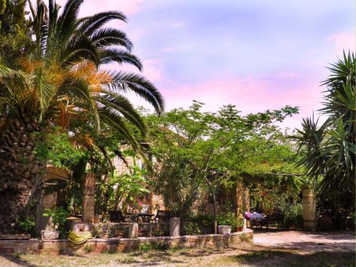 Clio apartments - Housity