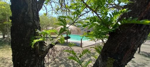 Complejo Megevand - Housity