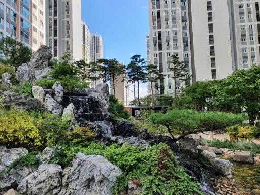 Female only shared apartment - Housity