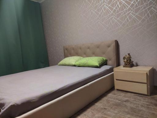 Apartment Sports Palace Просторная квартира рядом Дворец Спорта - Housity