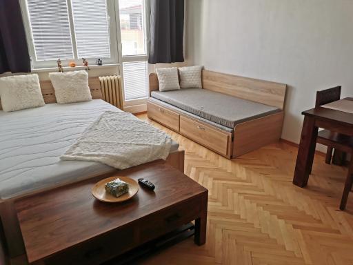 Slaný - byt 1+1 - Housity