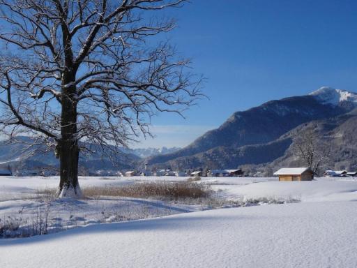graublau - Housity