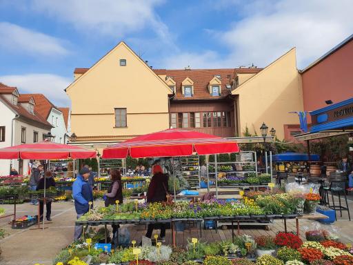 Dolac Guesthouse - Housity