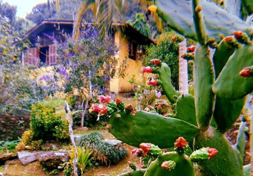 Cheerful 2 bedroom home in the Atlantic Forest - Housity