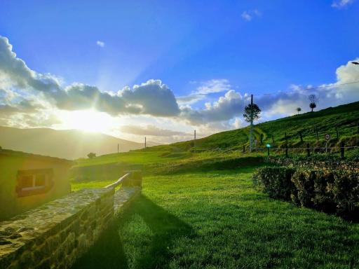 Apartamentos PalValle - Housity