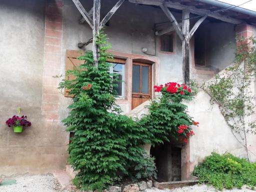 La Maison MOJA - Housity