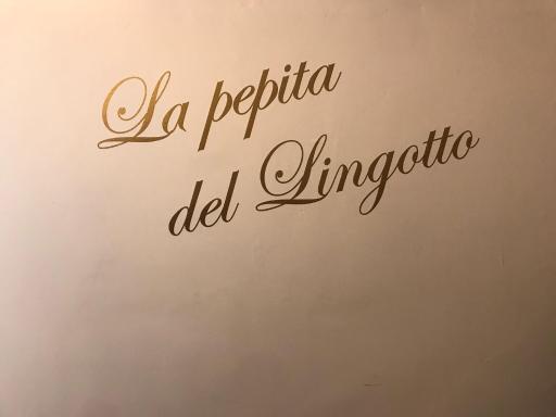La pepita del Ling8 - Housity