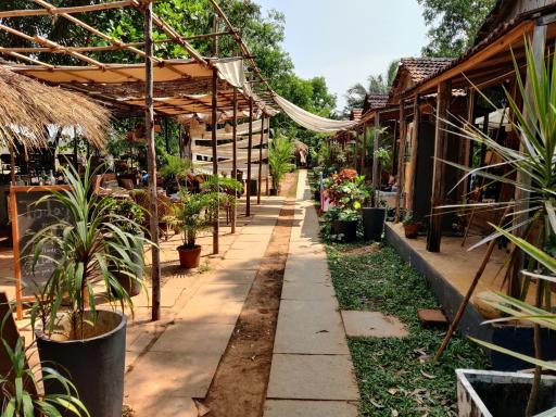 Wonderland Hostel - Housity