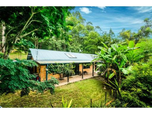 Forest Retreat Bellingen (68 Acres) - Housity