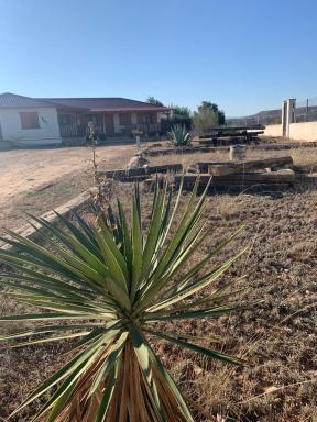 casa peninsula caspe 2 - Housity