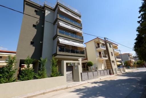 OLIVE 103 - Housity