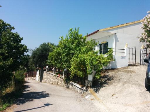 Nikos - Eleni - Housity