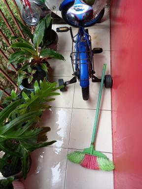Red home place - Housity