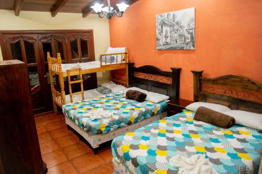 Green Belly Antigua - Housity