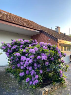 Casa Wellbella - Housity