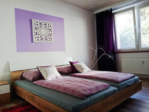 Ubytování Velké Losiny - U PAPÍRNY - Housity