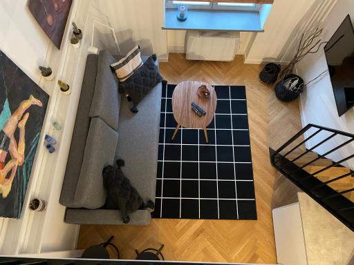 M Loft - Housity