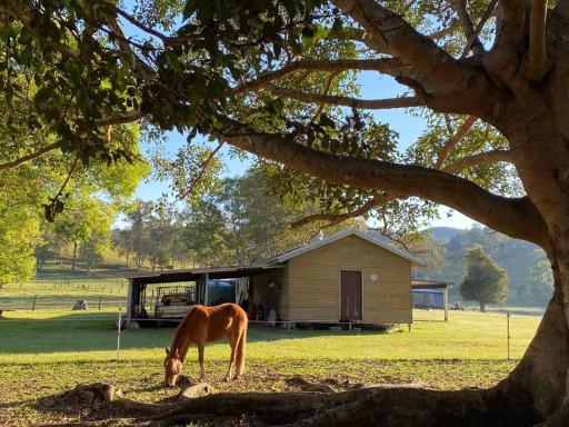 Stay at the Barn... Immerse yourself in nature. - Housity