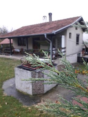 Galerija Jovanović - Housity