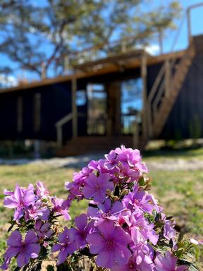 Hospedaria BOCA DO MATO - CONTAINER - Housity