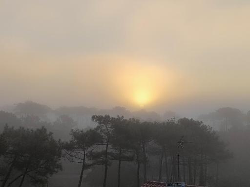 studio à l'océan au dessus des pins (plage & commerces à pied) - Housity